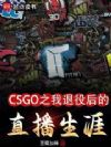 CSGO֮�����ۺ��ֱ������